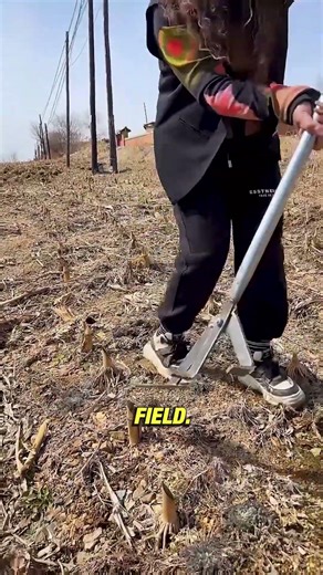 Easy Root Removal Tool