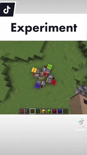 Minecraft Experiment Insights: Unleashing Creativity