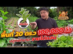 Grow vegetables for sale in just 20 sq m of space, earn hundreds of thousands in income!! l Wu Lu...