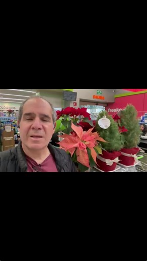 Buy Your Dream Home in Mexico