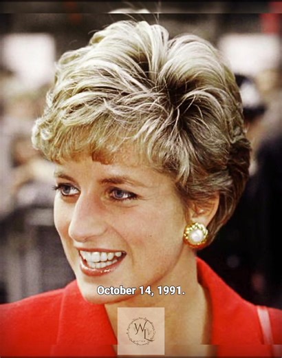 2.3K views · 396 reactions | October 14, 1991 — Princess Diana visits Banbury, Oxfordshire, radiating her signature elegance and warmth. ✨ #fblifestyle | Wild Lens Historic | Facebook