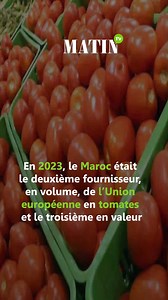 16K views · 41 reactions | En 2023, le Maroc était le deuxième fournisseur, en volume, de l’Union européenne en tomates et le troisième en valeur. Ce classement est basé sur les données d'Euroestacom (ICEX-Eurostat). Détails. #agriculture #Maroc #exportations #tomates #UE #UnionEuropéenne | LE MATIN.ma | Facebook