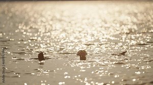 Boy Relaxing While Floating On Seawater