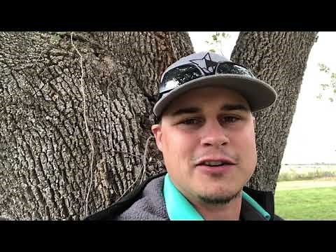 Longest Bow Hunting Kill Shot: 126 and 83 yards