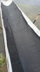 5K views · 23 reactions | Today's stock for the lake | Bennetts Pay Lake | Facebook