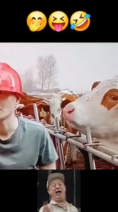 Funniest kiss ever 🤣😆😂 . . #pranksAcademy #funnymemes #funnyvideos #funnyposts #funnypictures #instafunny #funnyquotes #funnycats #funnydogs #funnymoments #funnymemesdaily #funnyanimals #funnypics #pubgfunnymoments #funnyface #funnyfaces #funnyjokes #funnyclips #viralvideos #viralreels #trending | Pranks Academy