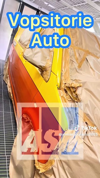 #ASM_SERVICE_AUTO #Vopsitorie_auto_Găești #MULTIMARCA #VAG #T5 #2culori #Arta @Maria Mirabela Popescu @Tiberiu Barbur @Iony Stan #0786122116