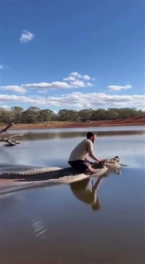 Typ springt auf Krokodil 😱