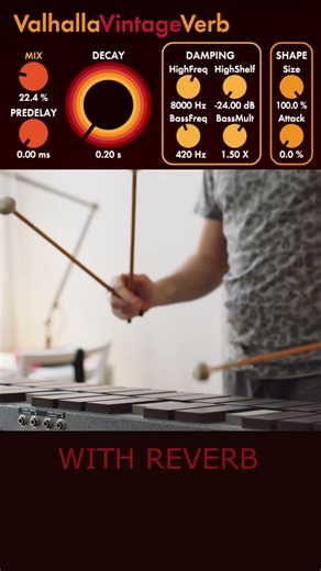 Reverb Shapes Space | Vibraphone Short