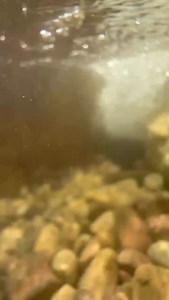 What’s Your Pond Filter Look Like?! This is an Aquascape 50 inch Patio Pond Filter You can add it as a functional and beautiful addition to any pond! | Greg Wittstock the Pond Guy