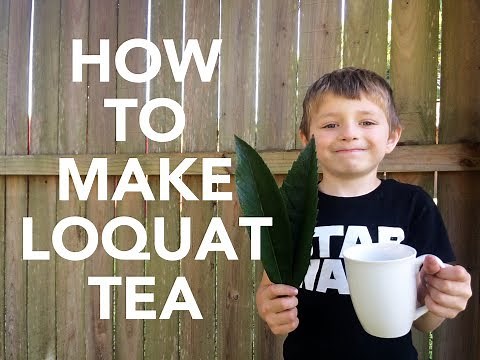 Loquat Tea Time! // DIY