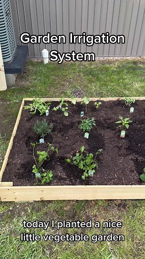 Rain Barrel Garden Irrigation System for Efficient Watering
