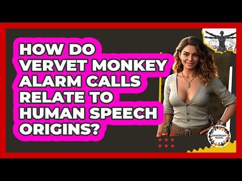 How Do Vervet Monkey Alarm Calls Relate To Human Speech Origins? - Anthropology Insights