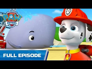 Pups Save a Baby Whale - 102B - PAW Patrol Full Episode - Cartoons for Kids - Videos For Kids