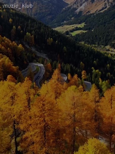 Üreyini Nədir Dağlayan - Müziğin Gücü