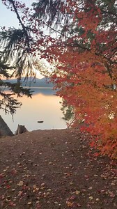 Here are five excellent fall hikes around the Mount Hood area, perfect for enjoying the autumn colors and crisp air: 1. Timberline Trail (Loop)Distance: 41 miles (loop)Difficulty: ChallengingHighlights: This iconic trail circles Mount Hood, offering incredible views of glaciers, waterfalls, and alpine meadows. Fall brings vibrant hues to the foliage, making this a top pick for seasoned hikers looking for an extended, scenic adventure. 2. Mirror Lake and Tom Dick and Harry MountainDistance: 7.6 m