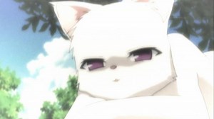 Omamori Himari | E7 - The Cat's Regard and the Magical Girl's Melancholy
