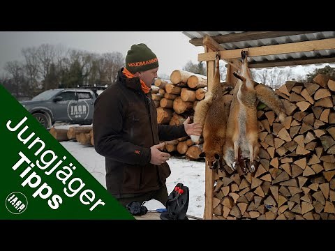 Skinning a fox | Tips for young hunters