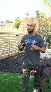 I’m showing people how they can change their dog’s behavior by just taking 15-minutes a day – sign up for my free webinar now. Have you ever found yourself saying: "My dog's behavior is beyond repair, why bother training?" "Training takes too much time and effort." "I can't have guests over because of my dog's jumping." "Every walk is a struggle with my dog pulling constantly." "My puppy’s chewing habits are destroying my home." "I wish my dog was easy to bring around." "I'm worried my dog's beh