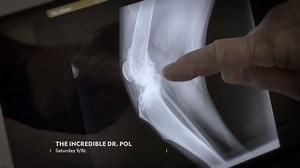 60K views · 389 reactions | It's a family affair in the clinic when one of their own needs a leg up. | National Geographic Animals | Facebook