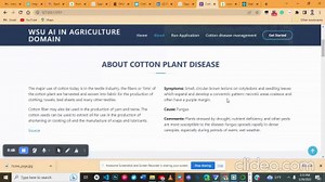 Cotton Disease Prediction Using Deep Learning Machine Learning
