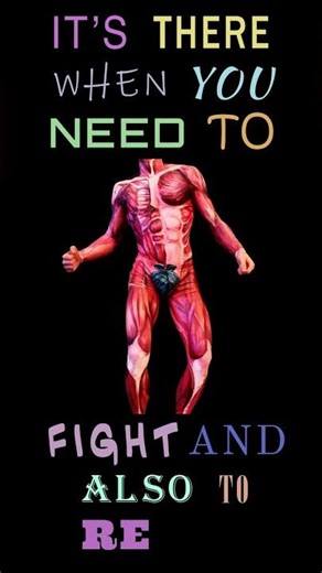 THE MUSCLE SONG #song #anatomy #comedy #education #bodybuilding #body #muscle #muscles #medical