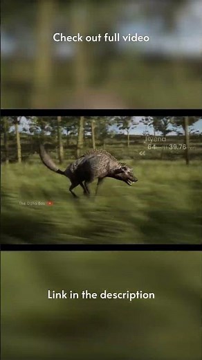 Fastest animal speed comparison