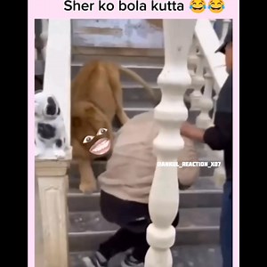 Wait for it 😂😂 | Memes Virus