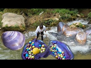 From Shell to Riches: Teenager's Chance Encounter Leads to Discovery of Unusual Pearl-Stuffed Clam