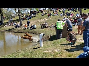 Worlds largest coon hunt. 4-15-2023. Decatur County TN