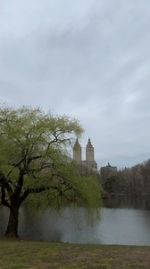 7.3K views · 188 reactions | Have you ever experienced something...