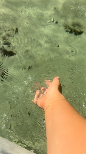 Jessica Walker on Instagram: "🧜‍♀️🦩🐠🌊 #weekiwachee #vacation #bucketlisttravel #tampa #travel"