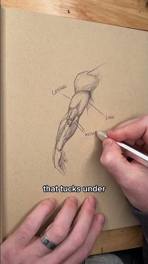 How To Draw Triceps Anatomy Lesson!