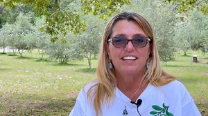 We're celebrating #NationalOliveDay with a visit to The Olive Grove, an organic olive tree orchard located in Brooksville, FL with over 300 trees and 9 varieties of fresh-grown olives! The Olive Grove sells and produces fresh pressed extra virgin olive oil, as well as a variety of other olive products. You can even purchase an olive tree to take home! Schedule a tour or visit during one of the workshops held throughout the season, which begins in August: http://floridaconcerts.org/ The Olive Gro