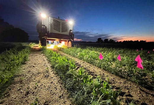 Blast Them: A Rutgers Scientist Uses Lasers to Kill Weeds