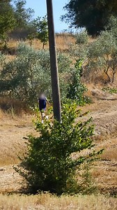 Who Could Ever Be Ready for This? #funny #Halloween #skit #horror #parody #scary | Redskull