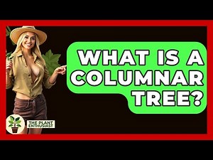 What Is A Columnar Tree? - The Plant Enthusiast