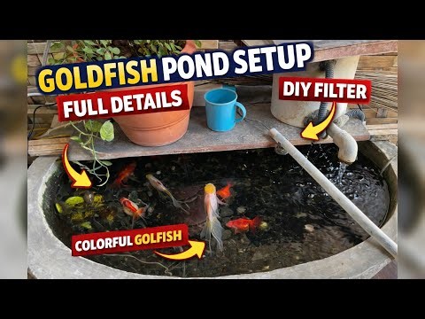 Goldfish Pond Setup Full Details 🐠 | DIY Filter | Outdoor Cement Pond Tamil