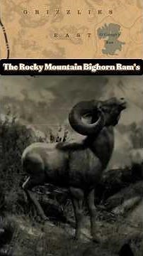 RDR2 Hunting: Rocky Mountain Bighorn Ram (Location, Weapons, & Food) #generalbigman #rdr2clips