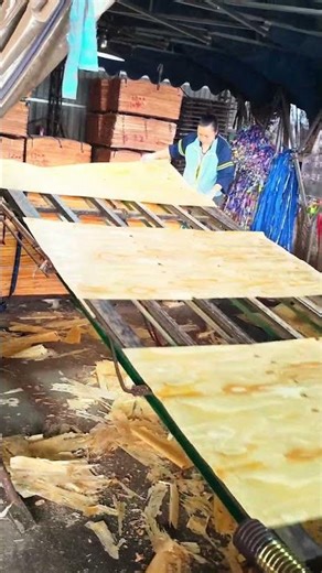 Industrial Wood Processing: The Multi-Step Process of Plywood Sheet Production