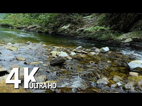 Healing stream sounds and birds chirping - Calming nature sounds for sleeping, relaxing