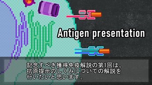 【ゆっくり解説】抗原提示のしくみ