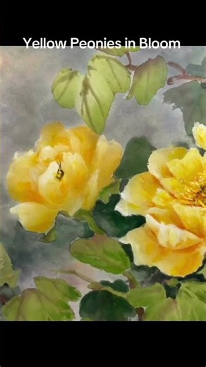 Yellow Peonies in Bloom #eileenfong #peony #peonies