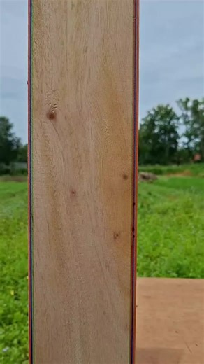 Essential Woodworking Tips for Beginners and Experts