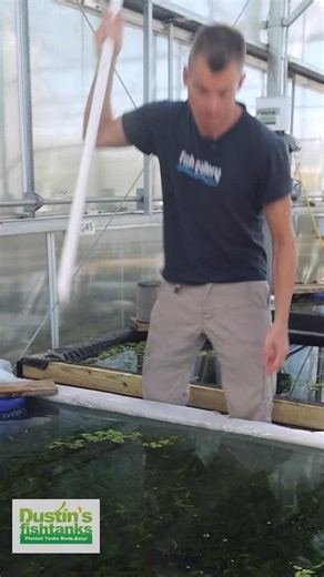 1K views · 43 reactions | INTRODUCING the POTTED Crypt Hole Combo!...