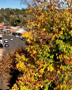 12K views · 52 reactions | For everyone in Victoria, your local Travel Guides are showing you around their hometown of Maldon! 朗 #9Postcards | Sunday 5.30pm on Channel 9 and 9Now | Postcards | Facebook