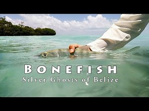 Bonefishing on the Fly in Ambergris Caye, Belize