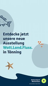 Entdecke eine ganze Welt – jetzt im Nationalpark-Zentrum Multimar Wattforum Nationalpark Wattenmeer🦦🐟😃 | Nationalpark Wattenmeer