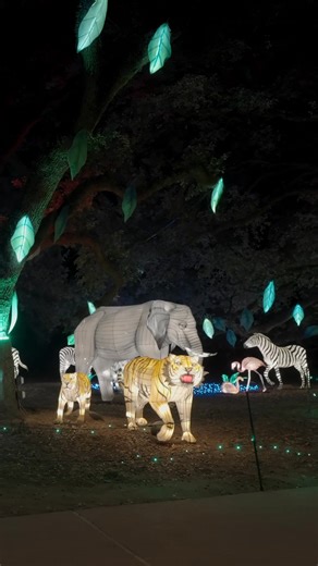 Rediscover your sense of wonder in an evening of dazzling lights at TXU Energy presents Zoo Lights. | Houston Zoo