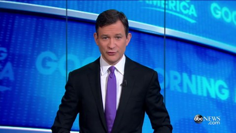 Cheetah Jumps Into Tourist's Safari Jeep